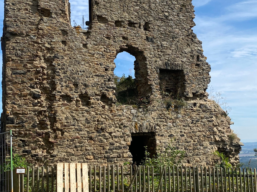 Castle Olbrück景点图片