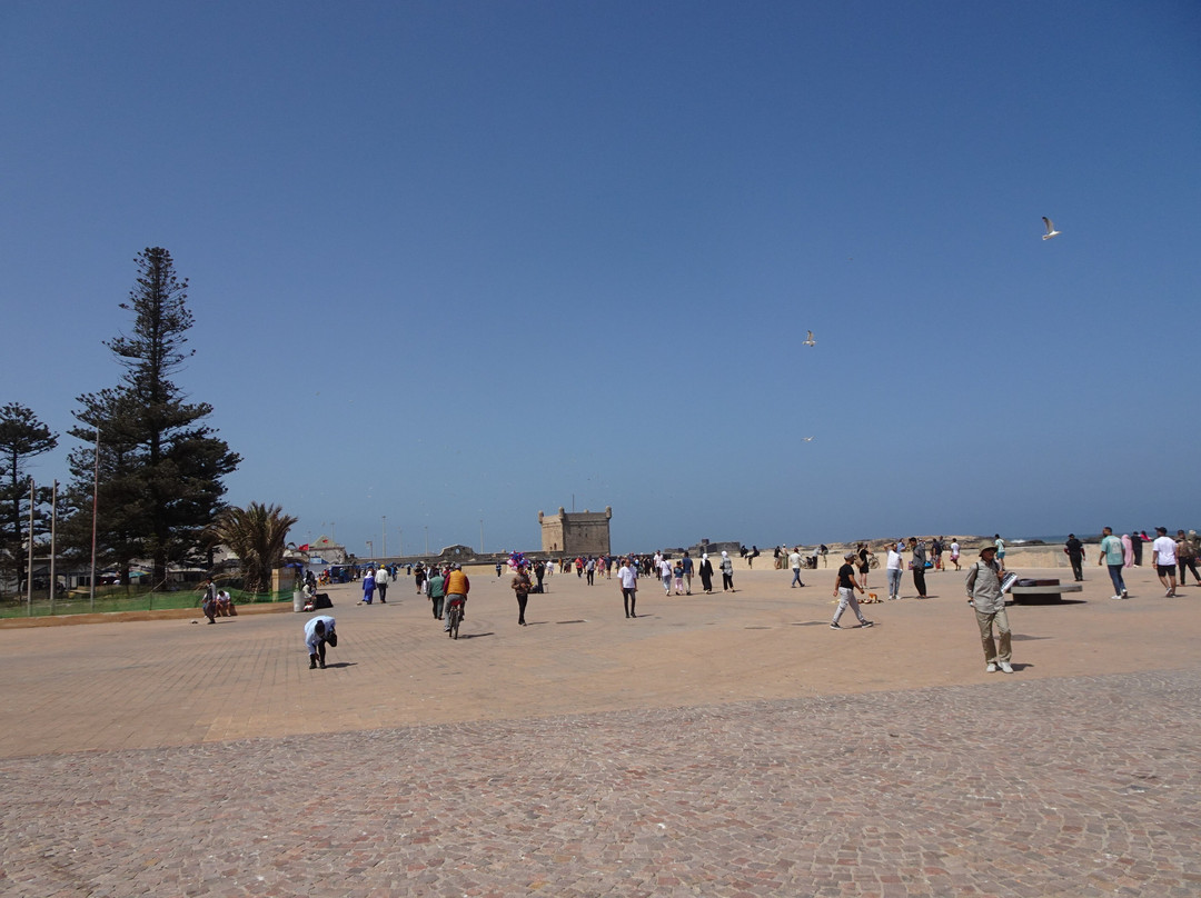 Place Moullay Hassan-索维拉必去景点