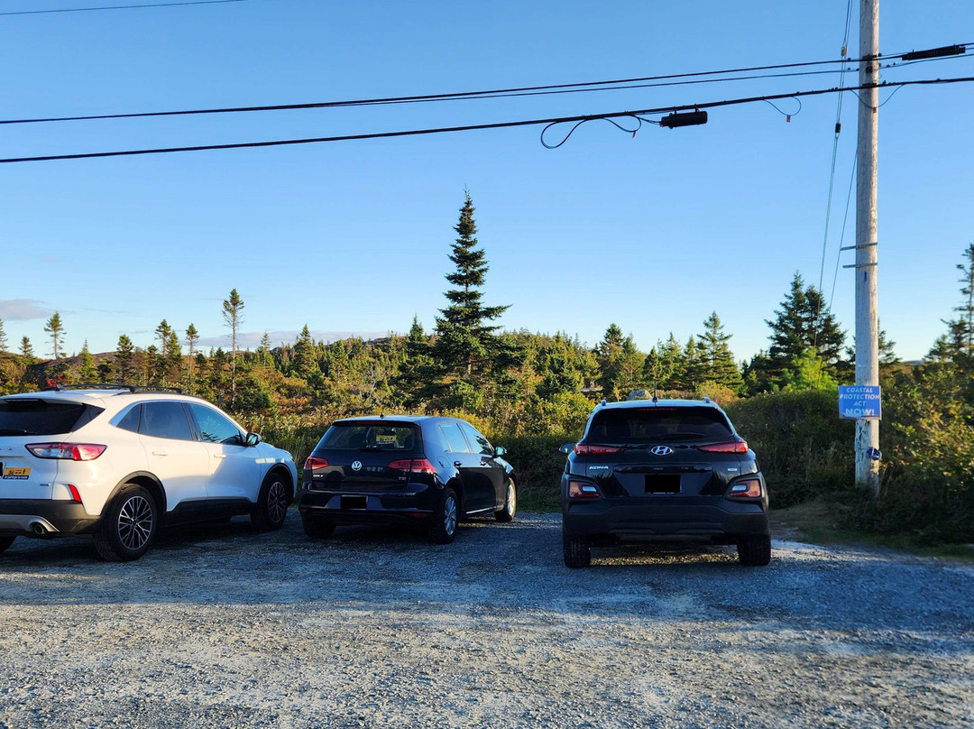 Polly's Cove Hiking Trail景点图片