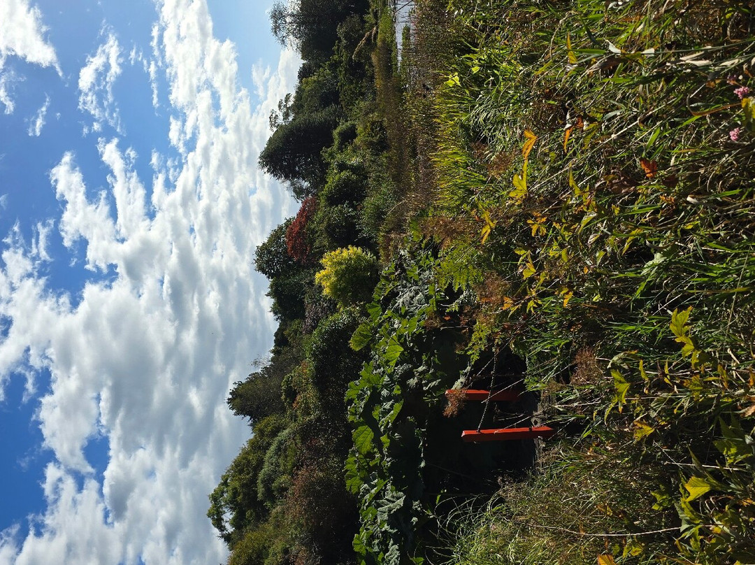 Glenwhan Gardens景点图片