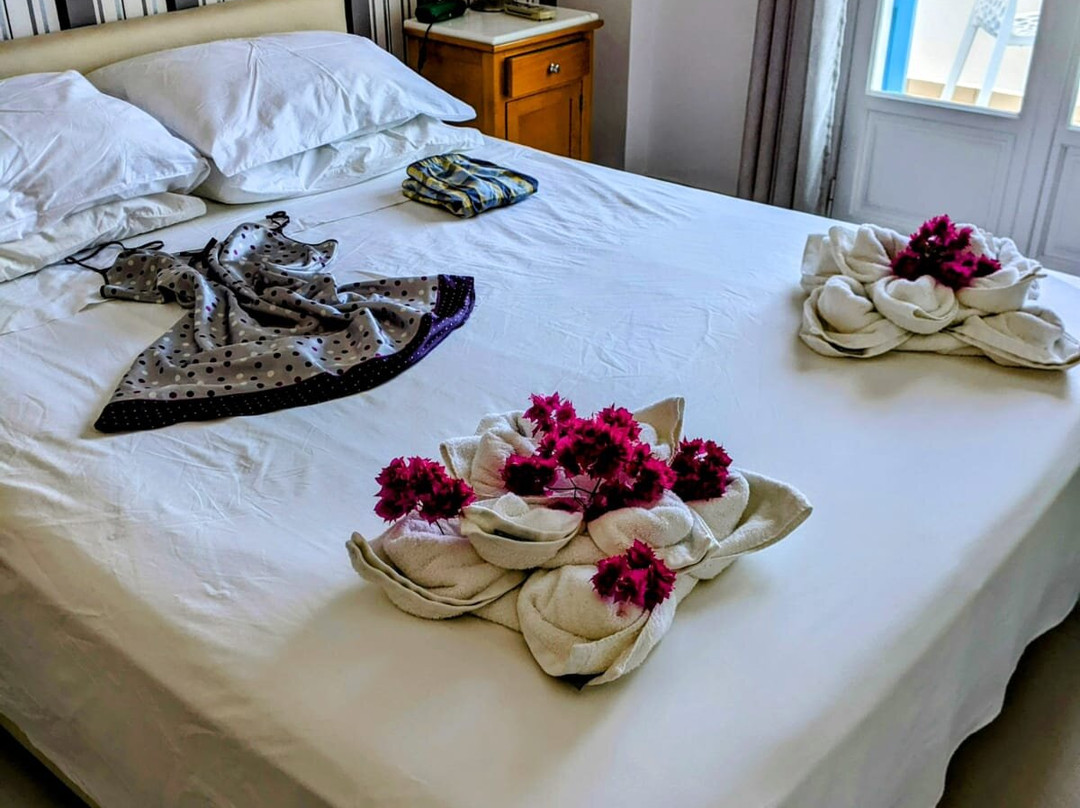 Santellini Hotel主图