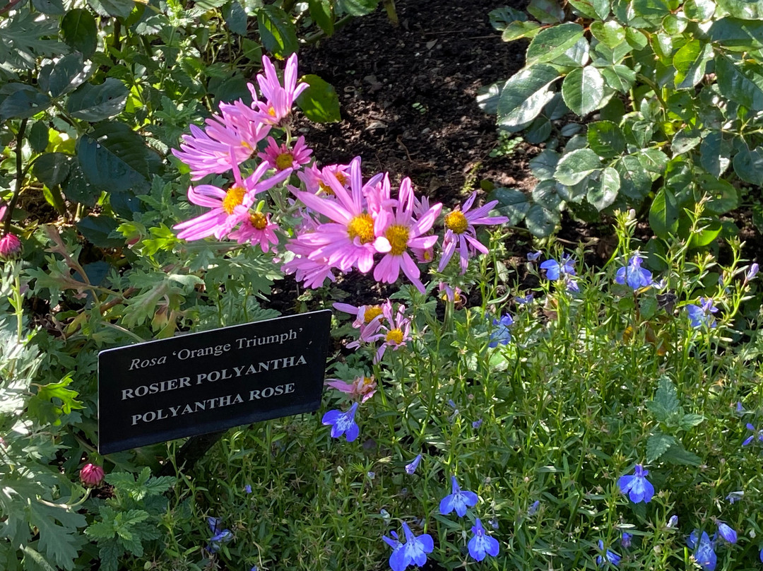 Jardins de Metis / Reford Gardens景点图片
