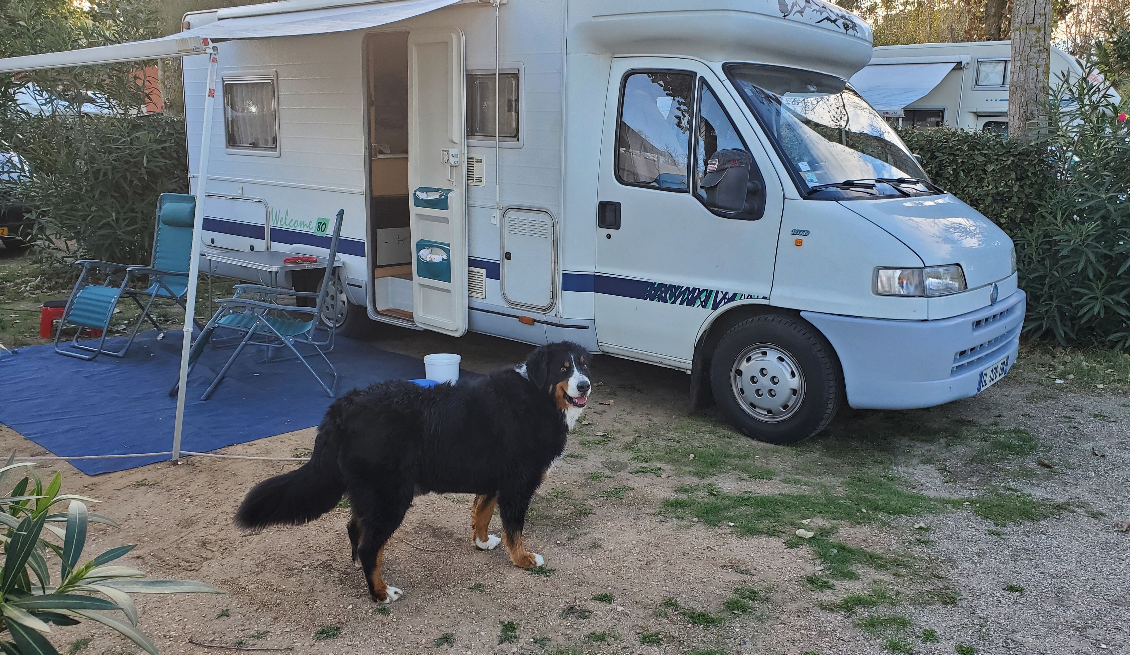 Camping la Creole-家庭/游戏区
