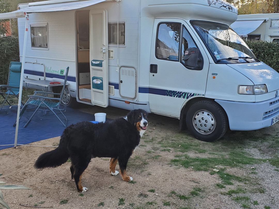Camping la Creole主图