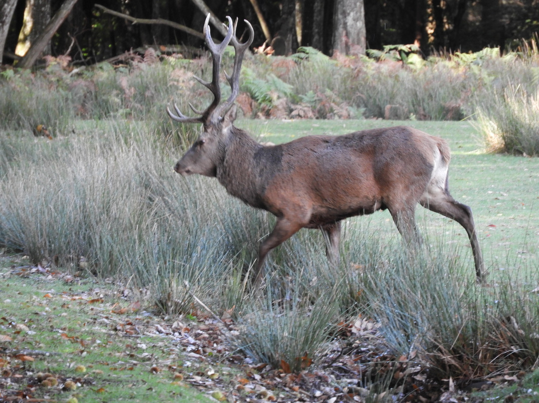 Parc Naturel de Chambaran-Saint-Pierre-de-Bressieux必去景点