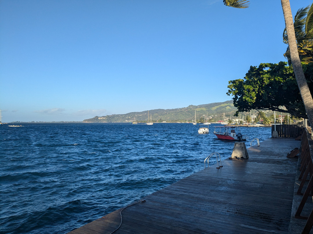 Tahiti Plongée Passion景点图片