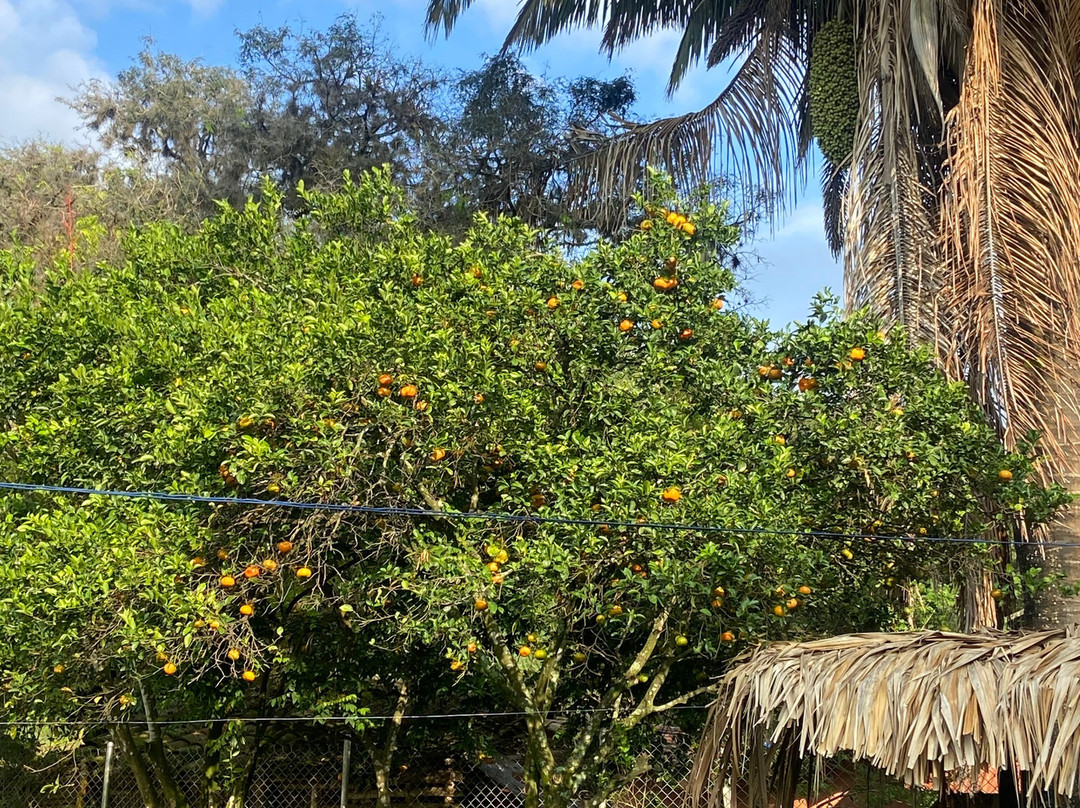 Ancestral Casa de Campo