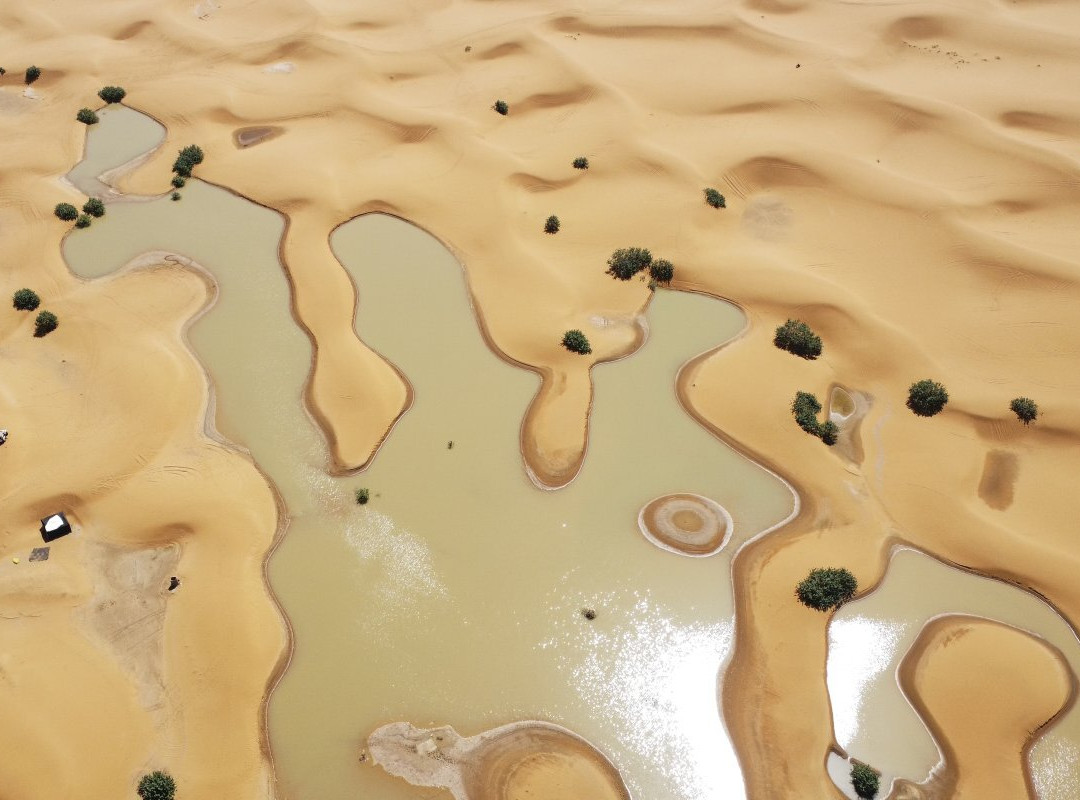 Multi Morocco Tours-瓦尔扎扎特必去景点