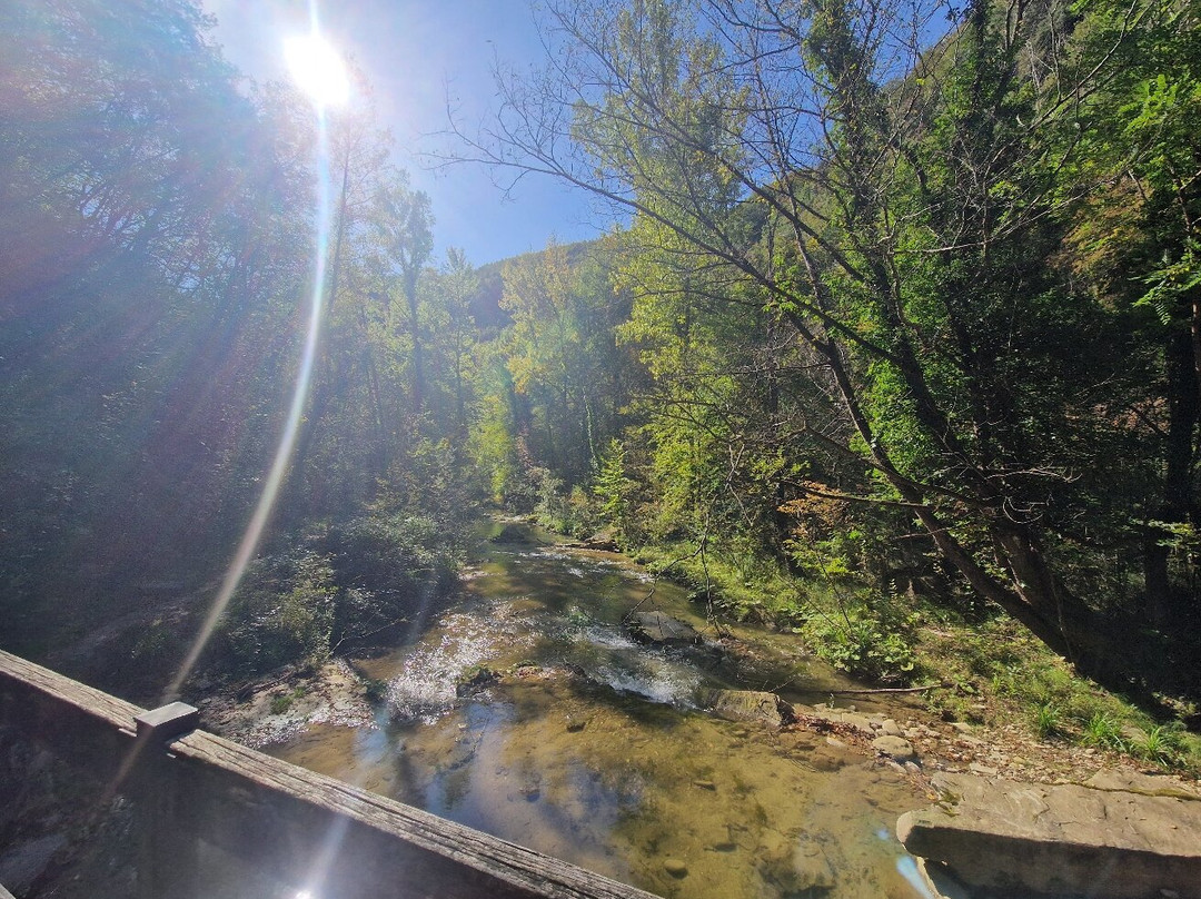 Cascate Di Casanova景点图片
