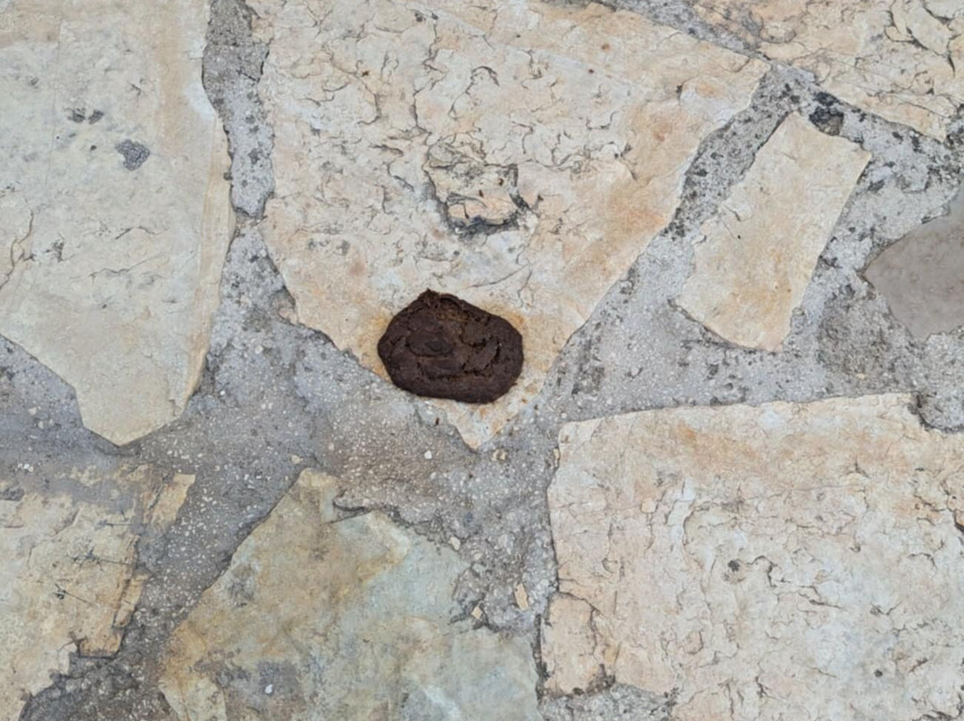 Alykanas Village Hotel主图