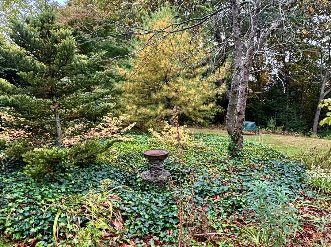 Farandnear Reservation-Shirley必去景点