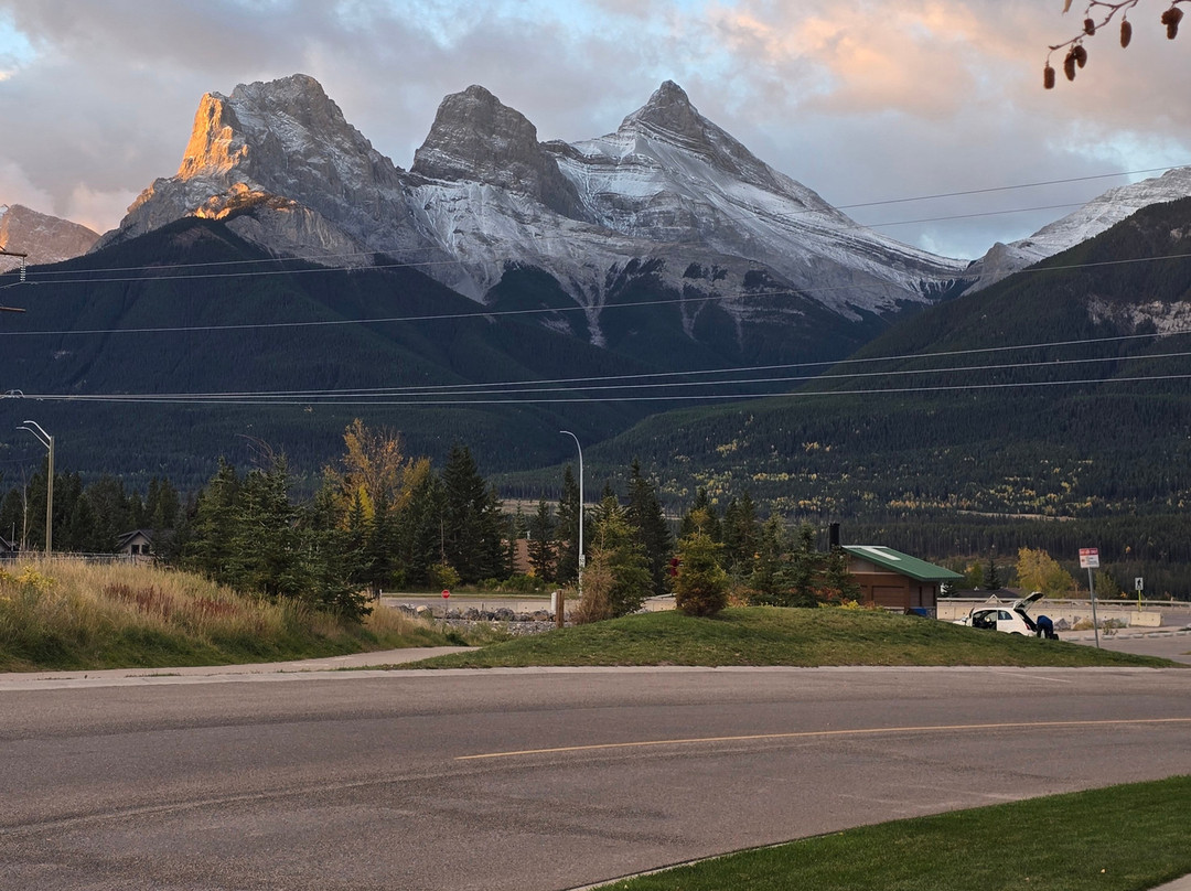 熊及野牛乡村酒店主图