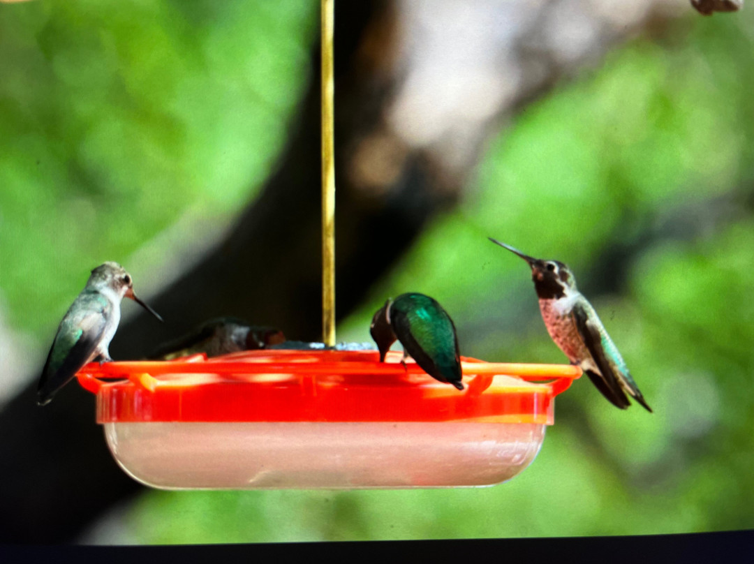 Casa de San Pedro主图