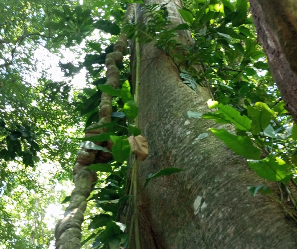 Green Eco Park CR-El Tanque必去景点