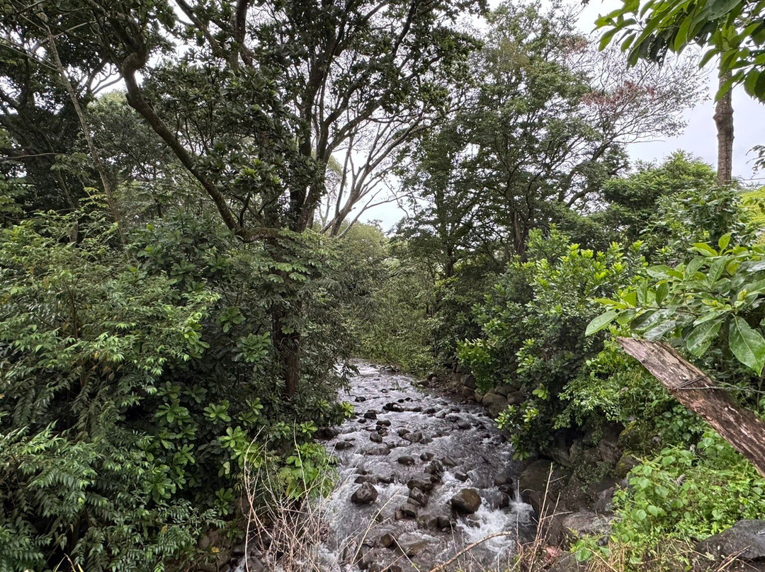 Agutipaca Bungalows主图