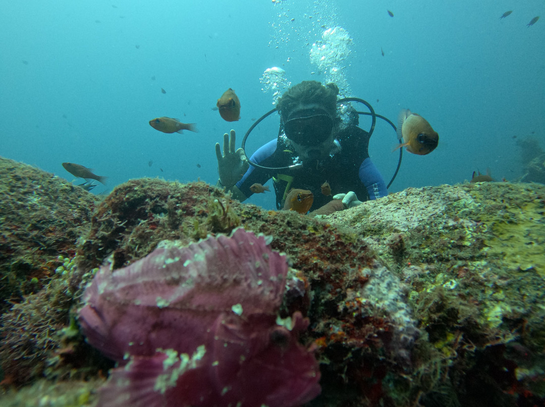 Let's Dive Tulamben-图兰本必去景点