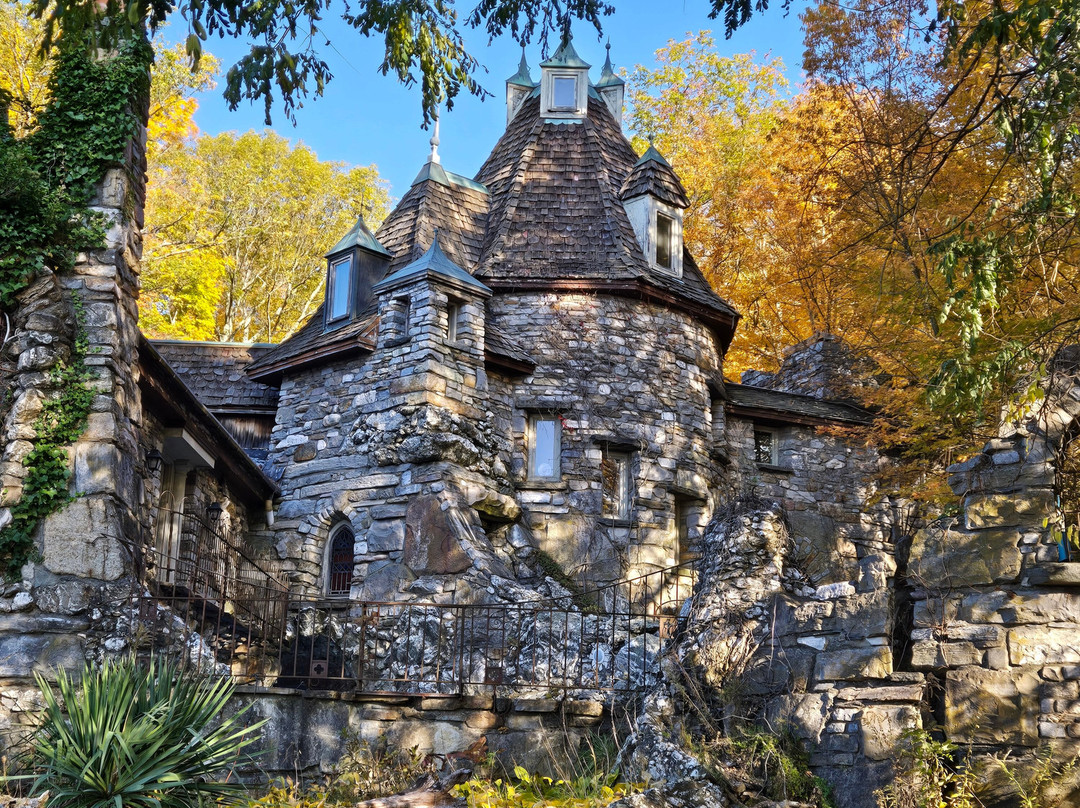 Wing's Castle B&B主图