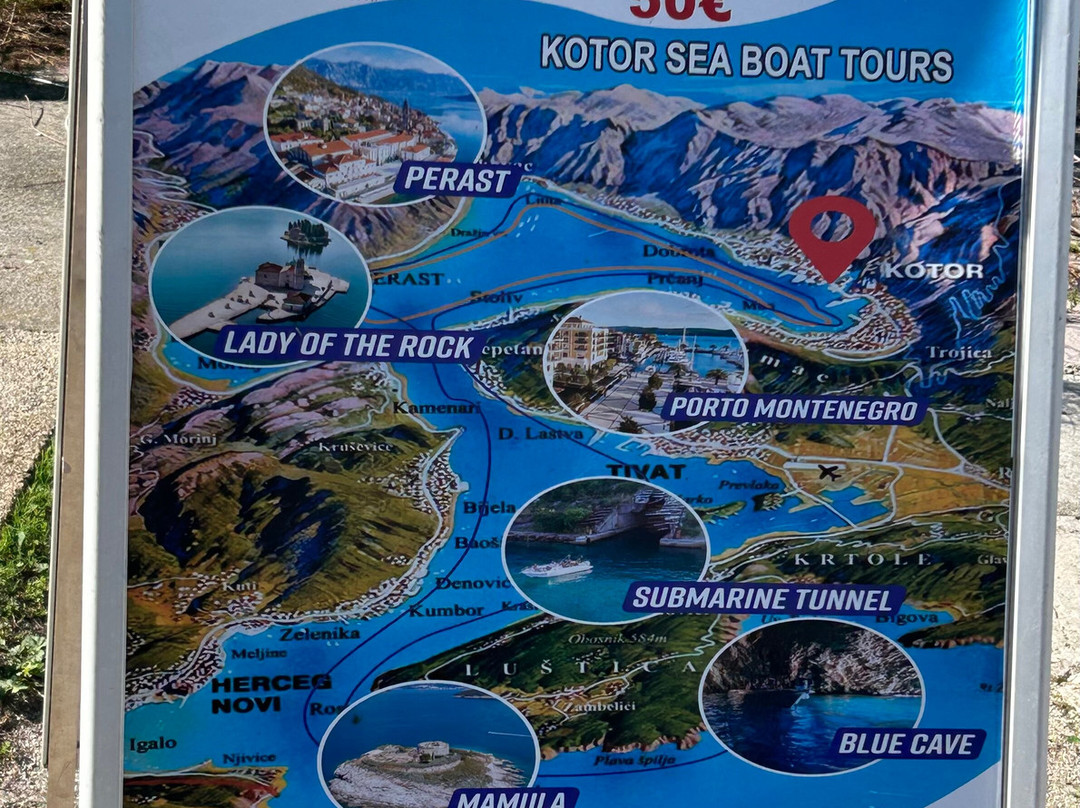 Kotor Boat Tours景点图片