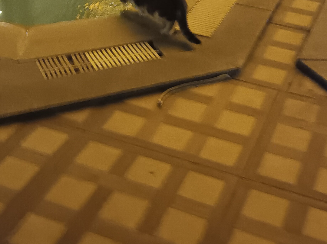 Uk Blue Coast Hotel主图