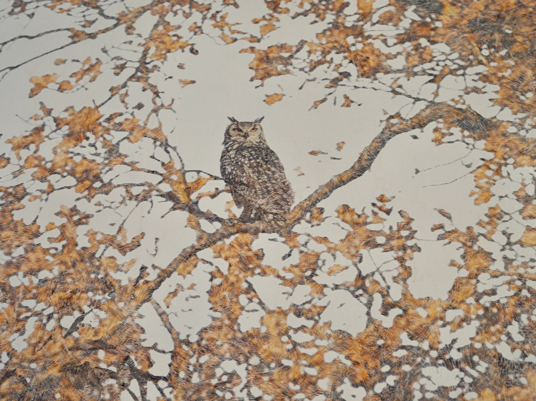 布洛迪豪庭酒店主图