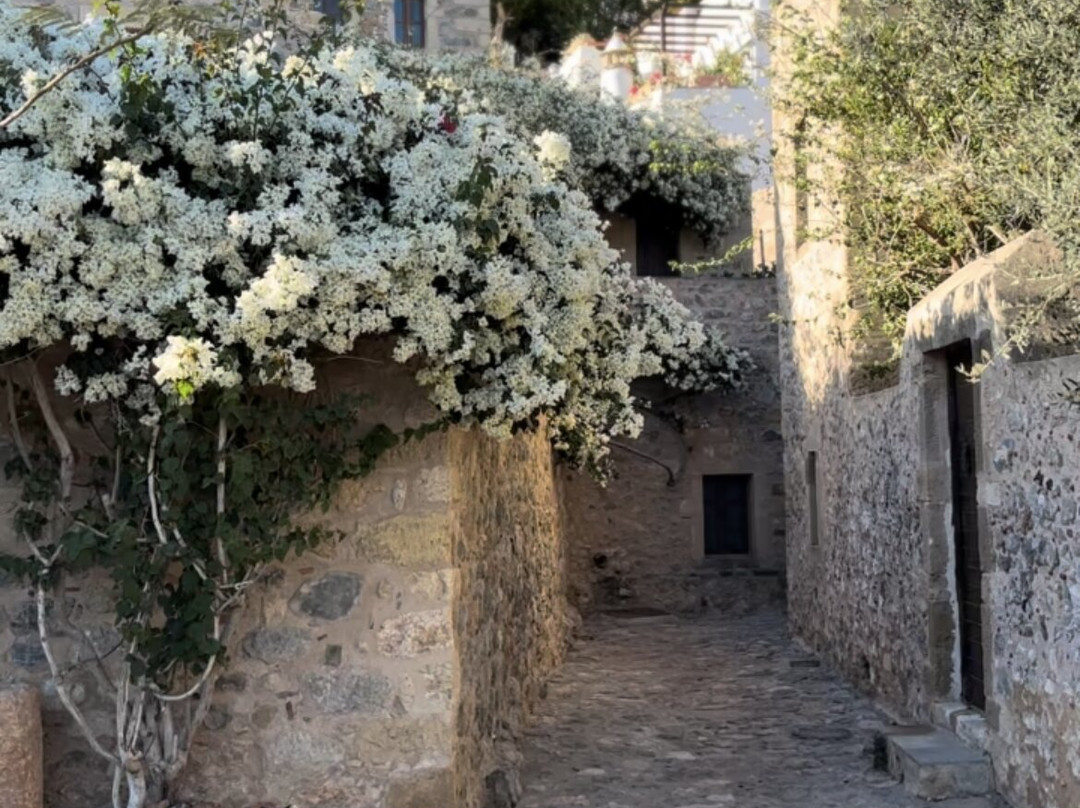 Ardamis Traditional Guest Houses主图