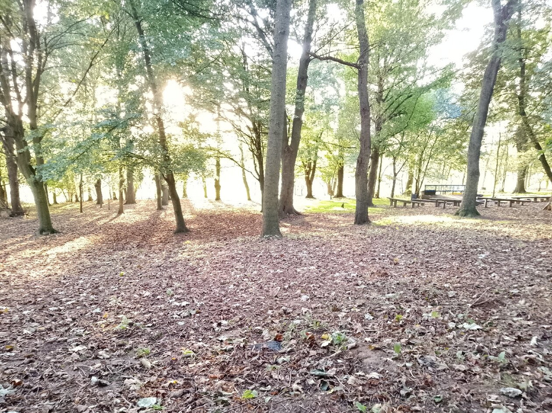 PGL Caythorpe Court