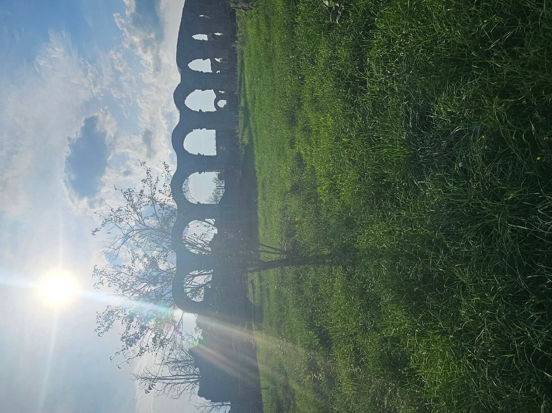Area Archeologica di Ferento景点图片