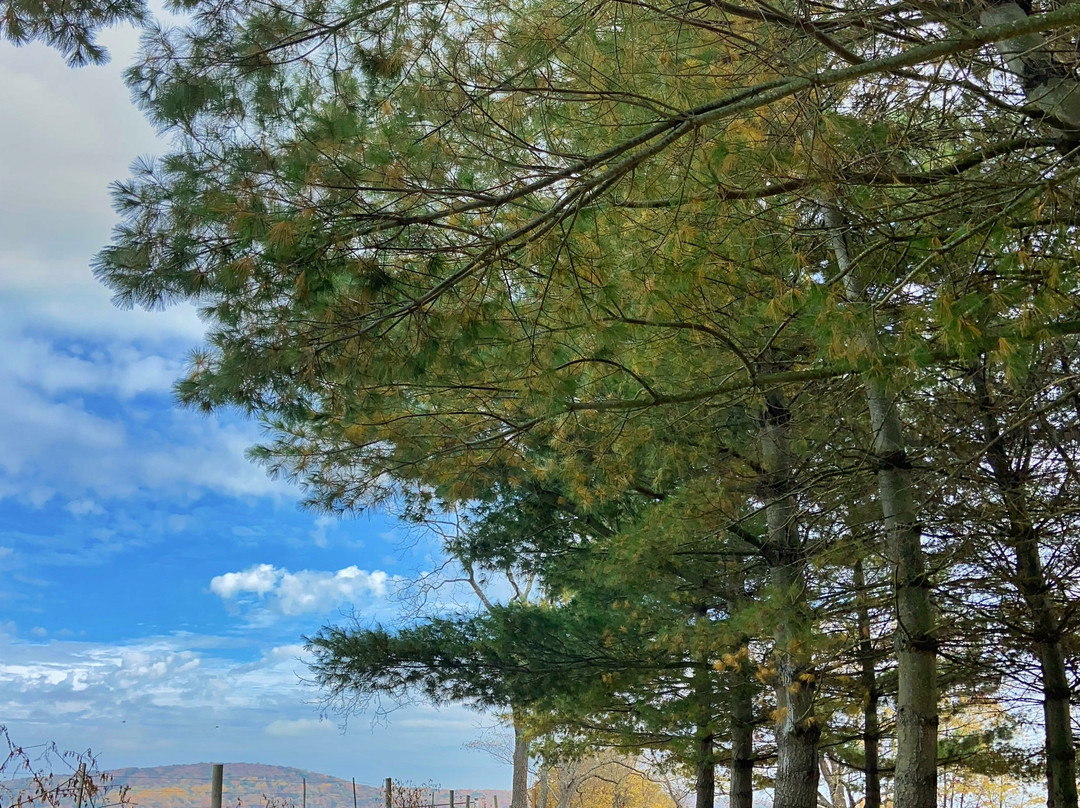 Sky Meadows State Park-Delaplane必去景点