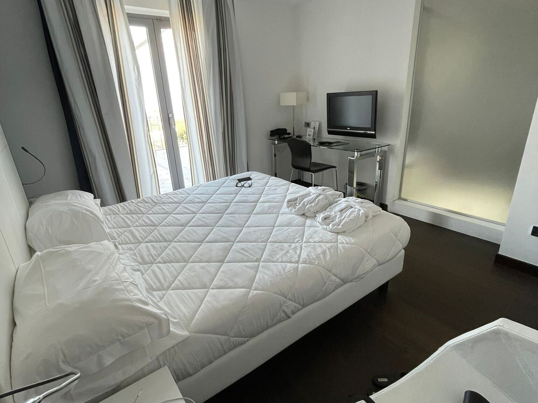 Hotel Napoleon主图