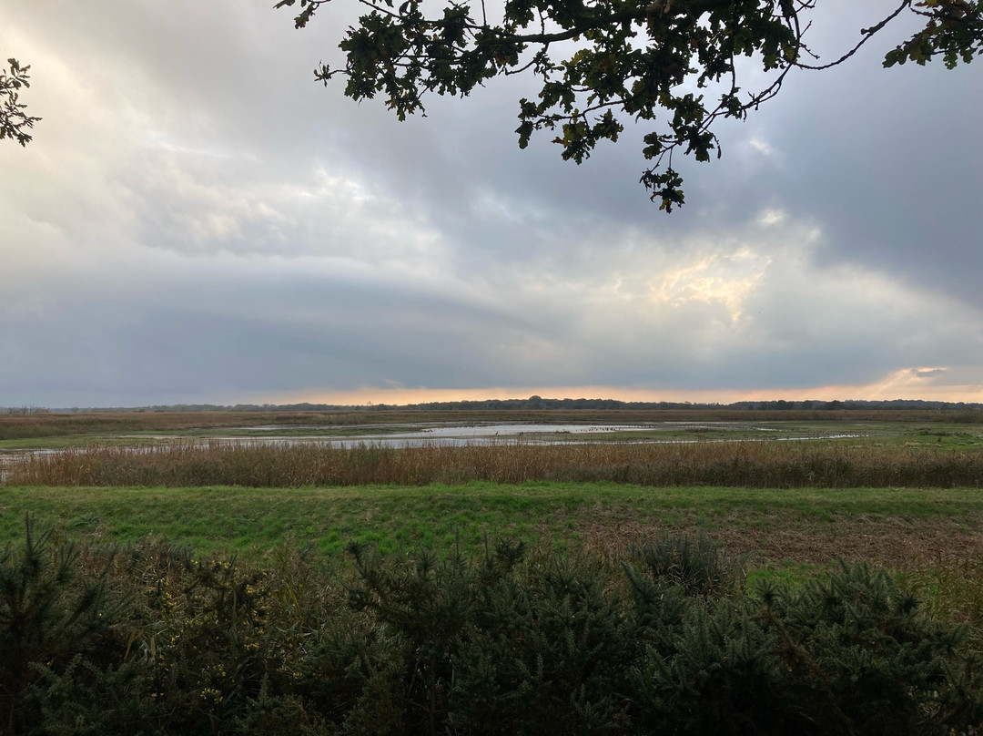 Hickling Broad景点图片