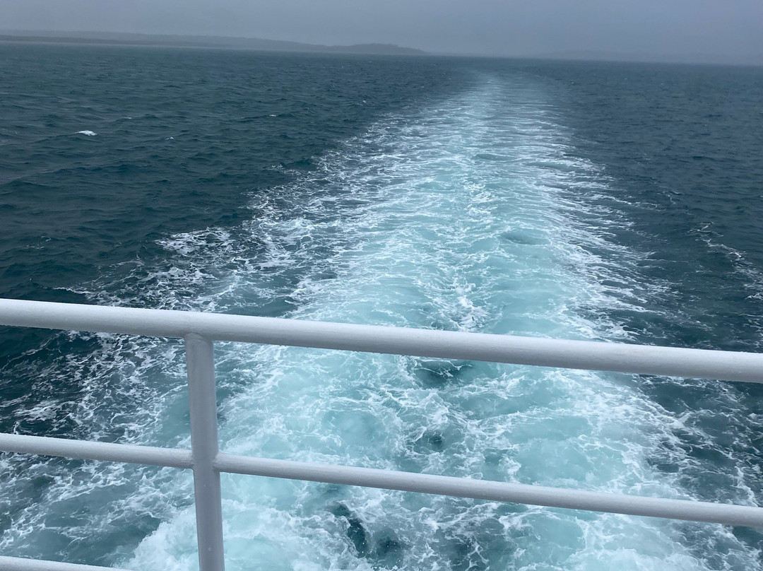 Safari 4WD Hire-赫维湾必去景点