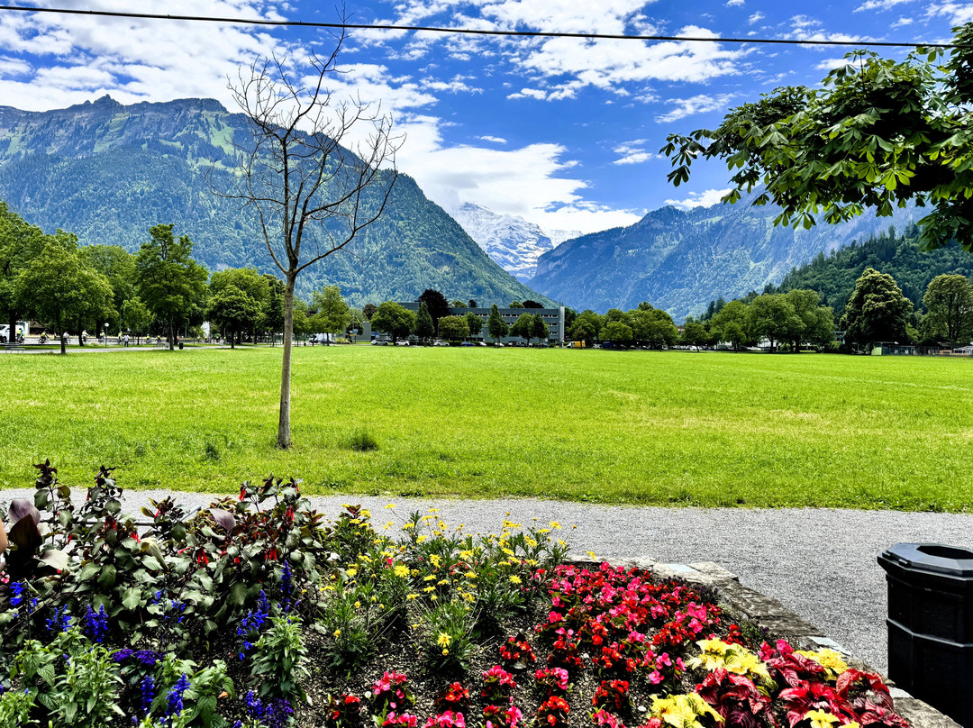 Hohematte Park-因特拉肯必去景点