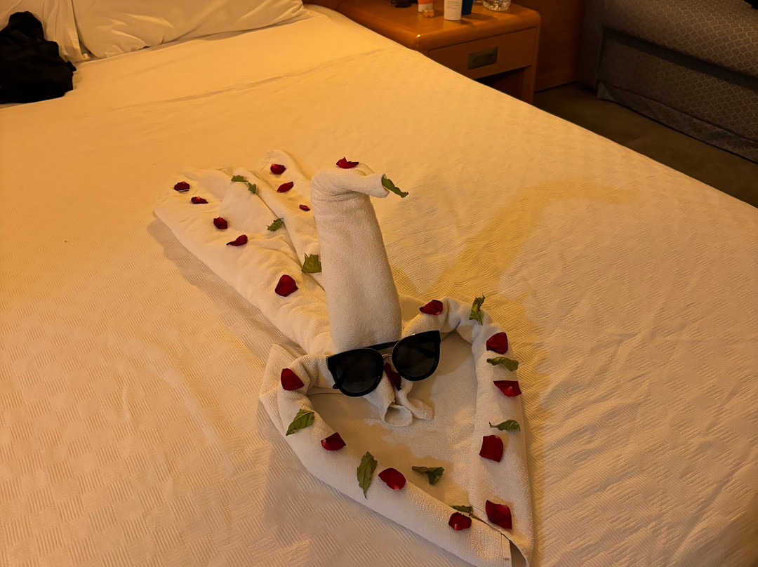Senza Grand Santana Hotel主图