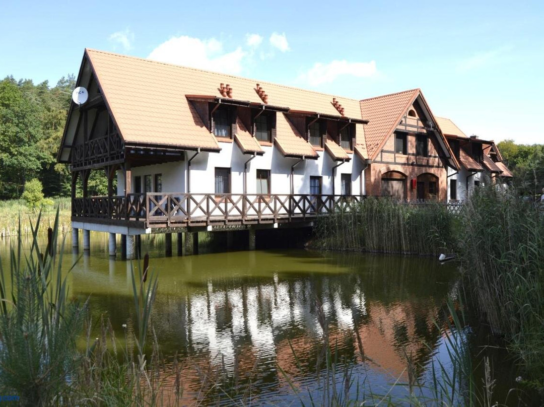 Apartamenty, Domki, Wedkowanie