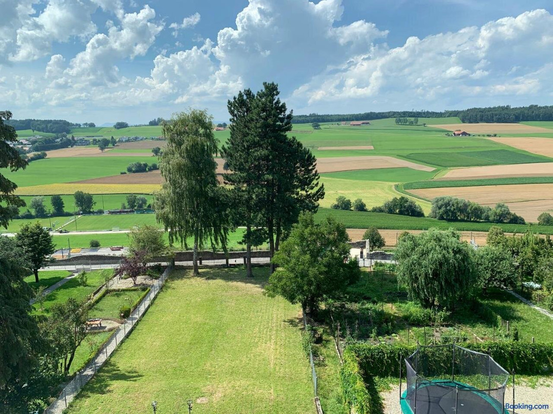 Canton of Fribourg酒店住宿-Hotel Lion d'Or Romont