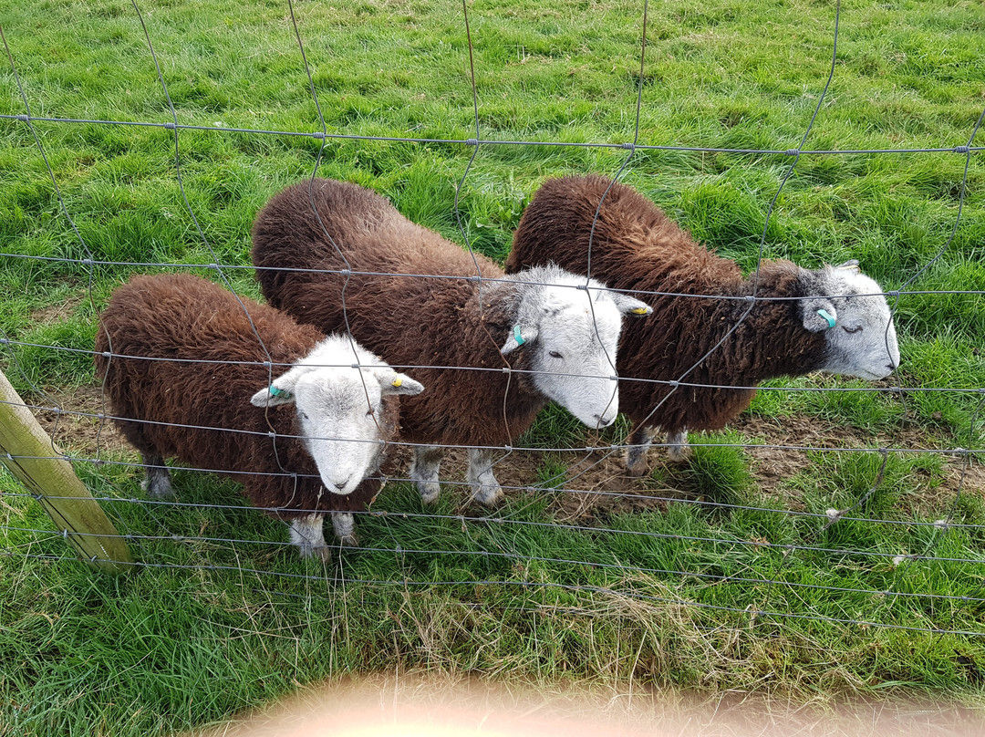 Frampton Farm景点图片