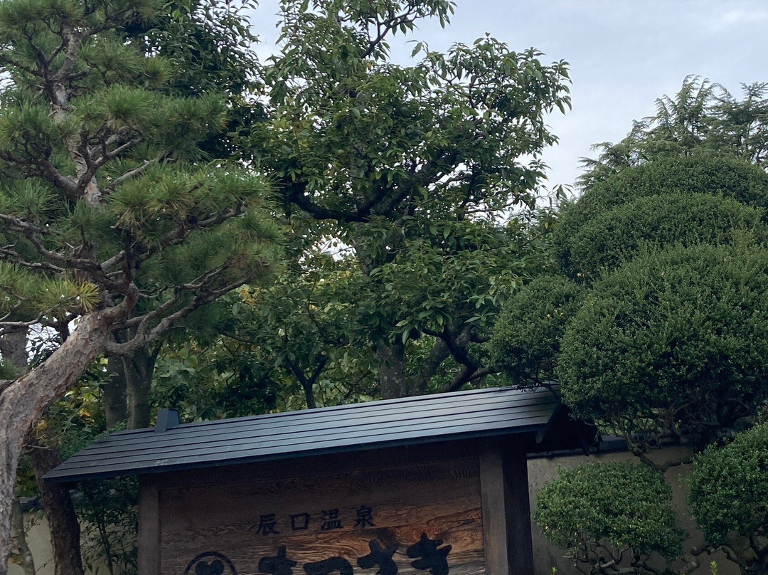 Matsusaki主图