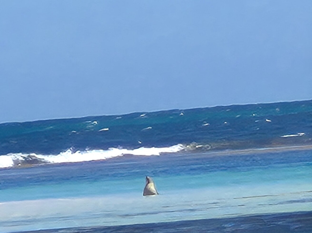 Sea Lion Charters-朱里恩湾必去景点