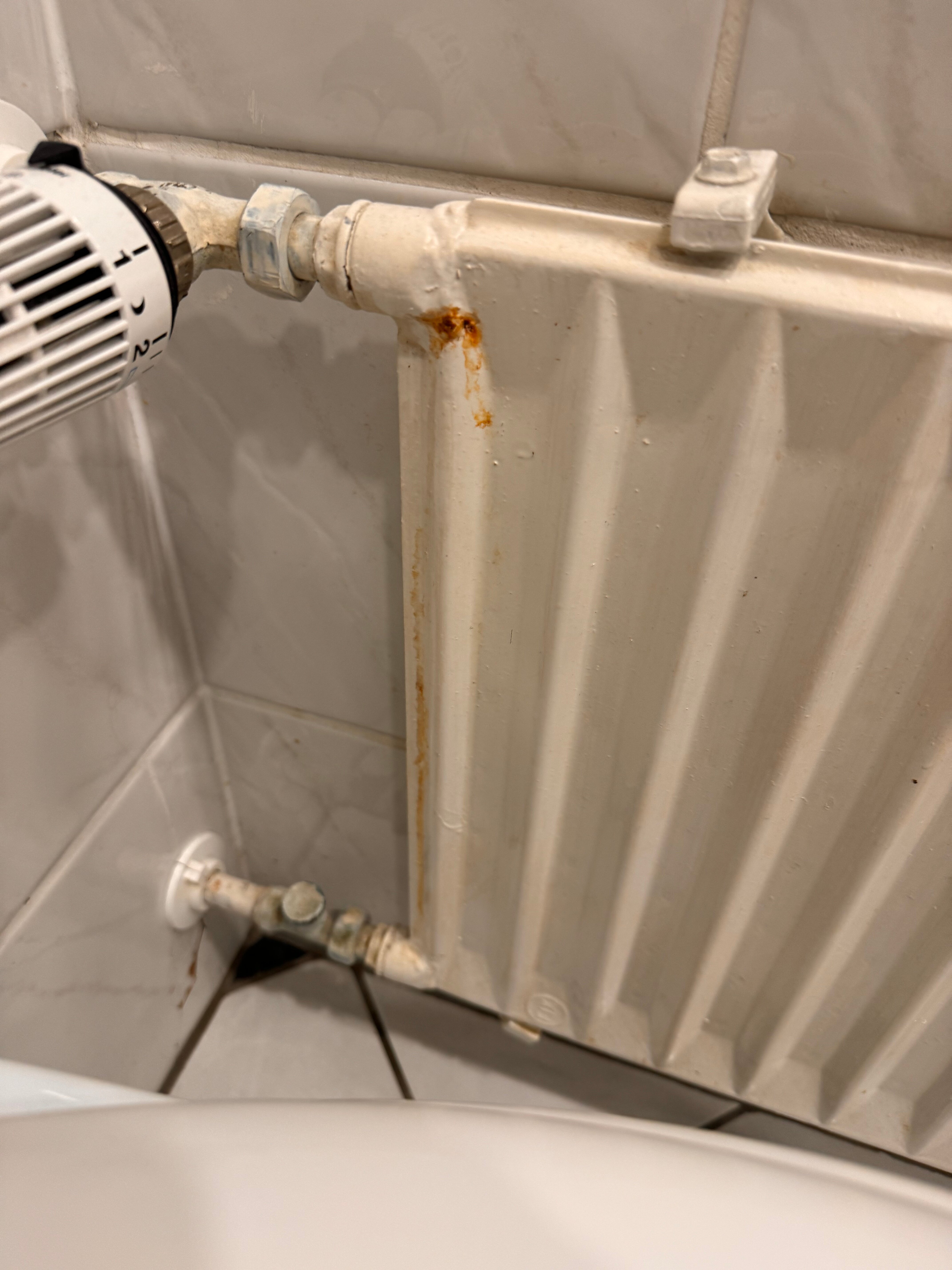 哈根美居酒店-客卧