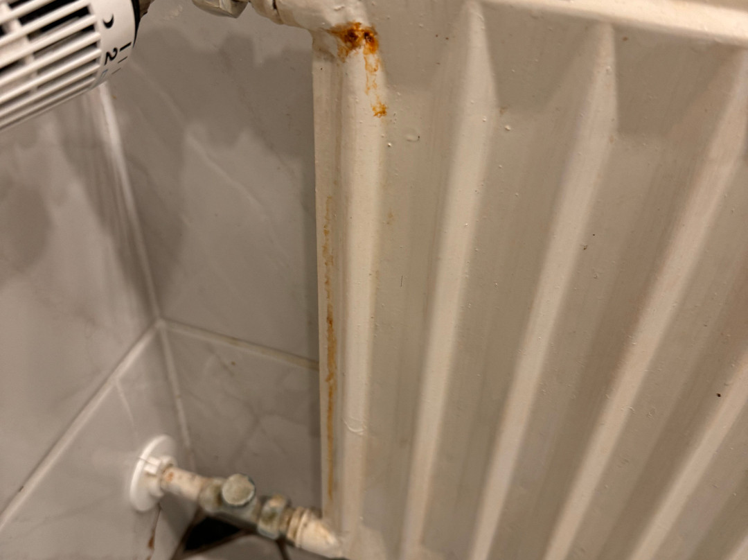 哈根美居酒店主图