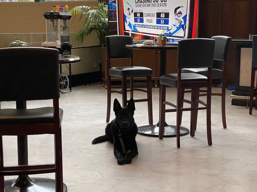 The Stamford Hotel主图