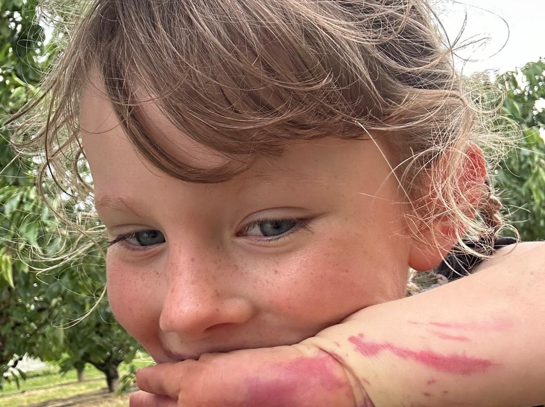 Cherryhill Orchards-Wandin East必去景点