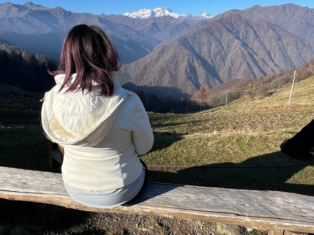 AgriChiosco Alpe Margosio景点图片