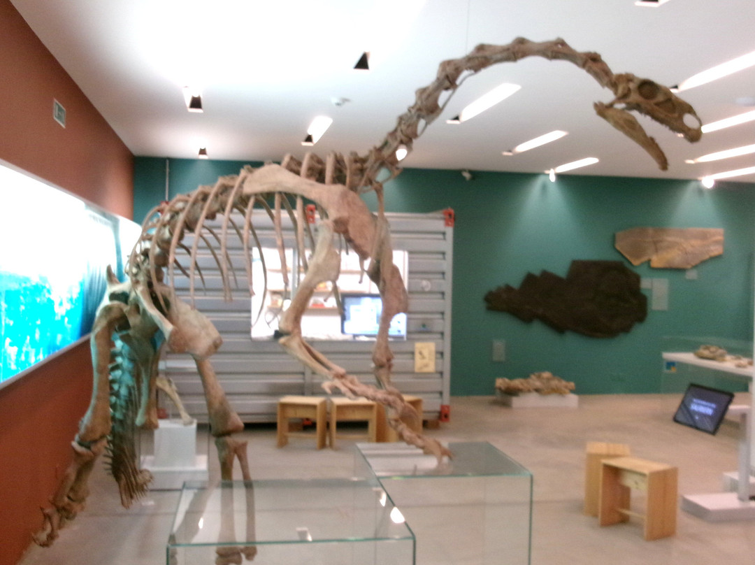 Naturama Aargau-Aarau必去景点