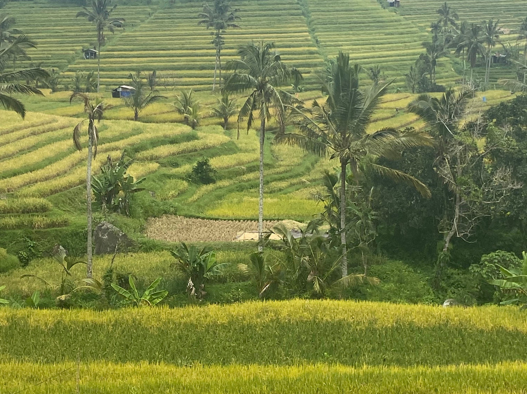 The Haere Seminyak By Astadala主图