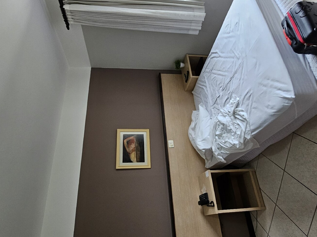 Hotel Steinhausen主图