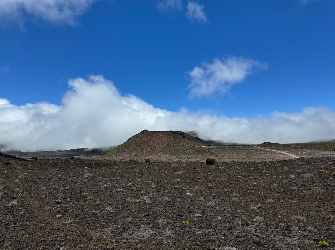 Bureau Rando Volcan - Tunnels De Lave Réunion景点图片