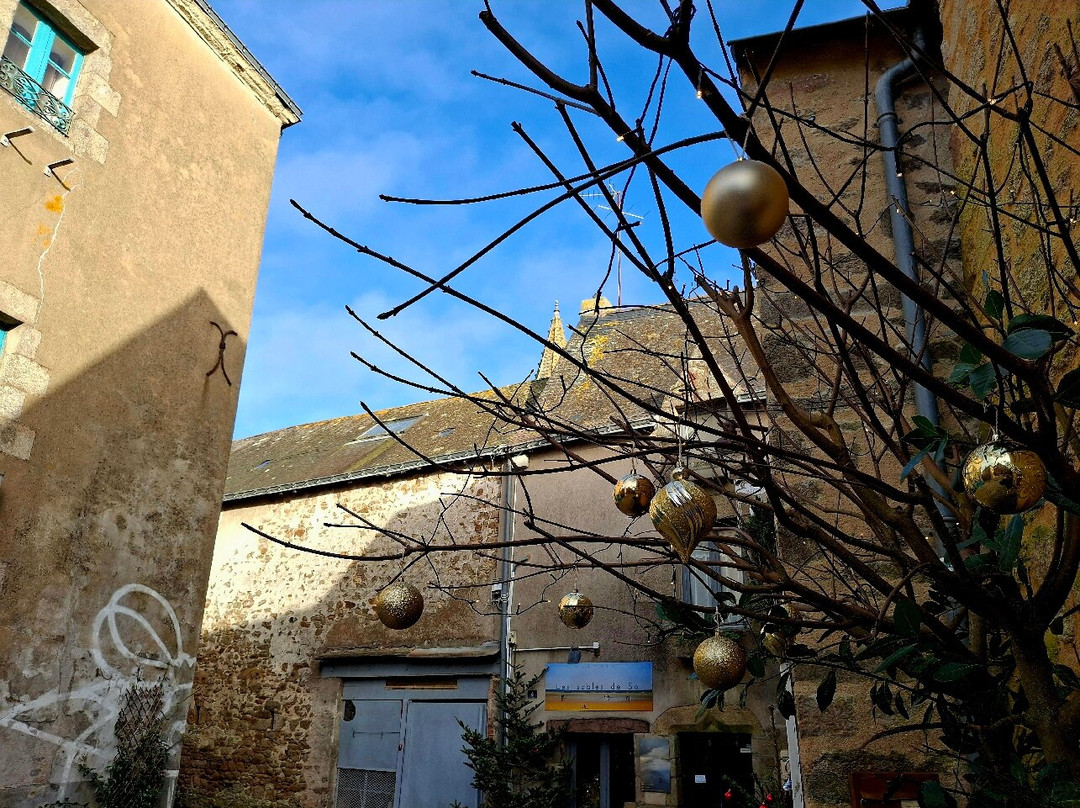 Cite Medievale de Guerande景点图片