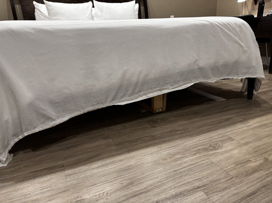 Hôtel Le Rivage主图