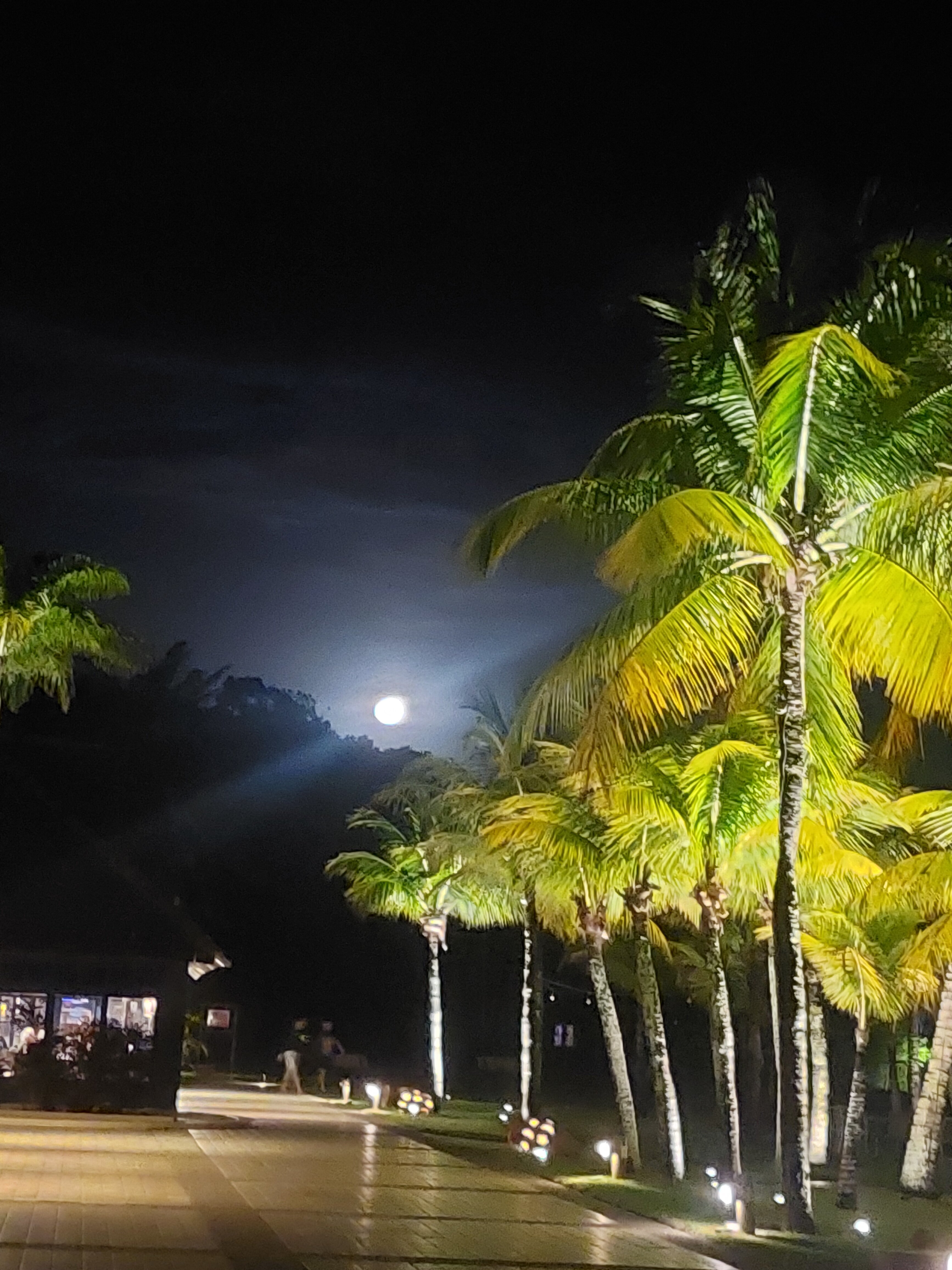 Club Med Trancoso-泳池